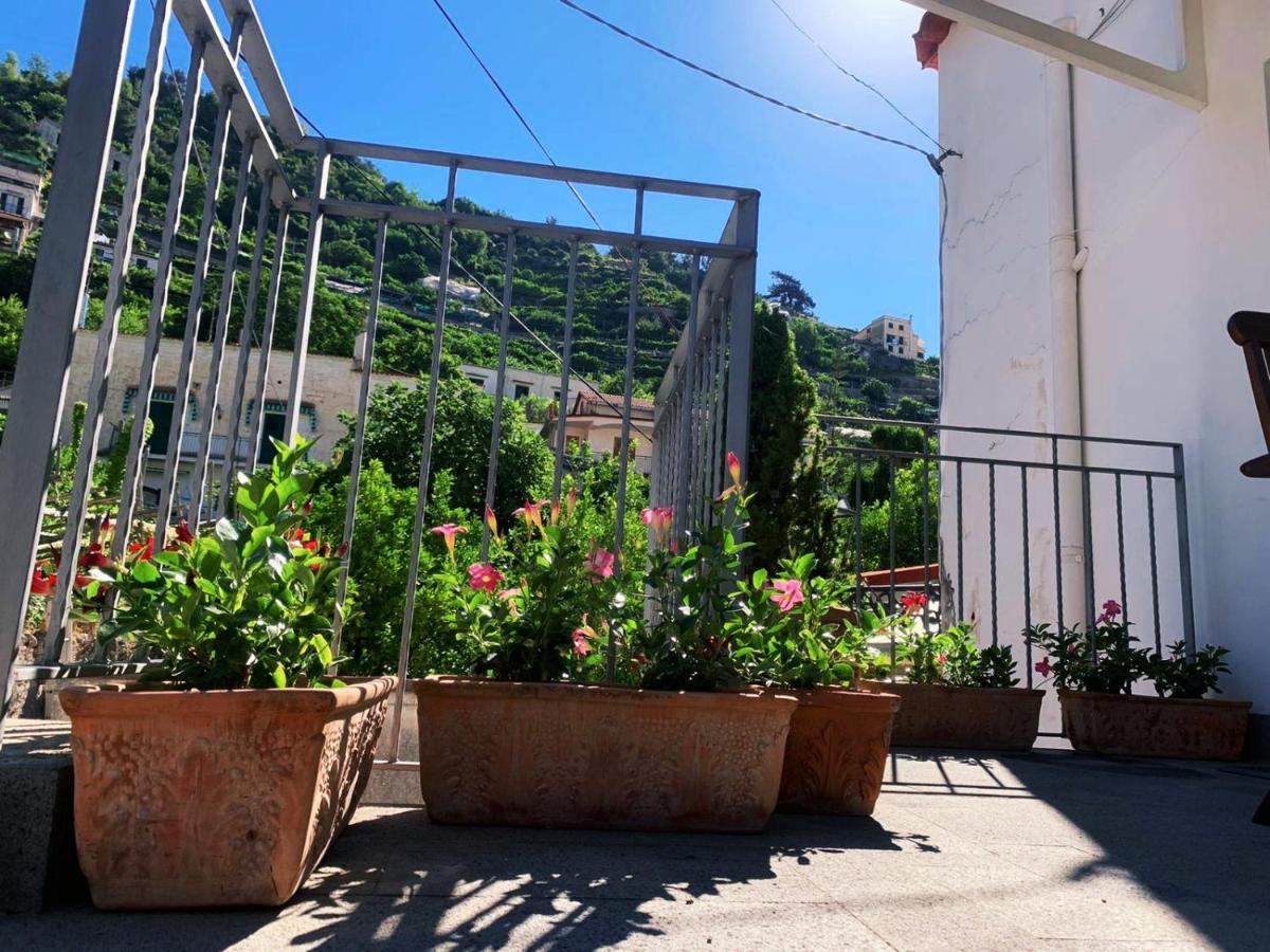 Ferienwohnung L'Albero Della Vita Minori Exterior foto